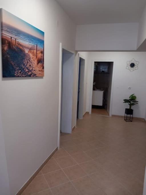 Apartment Dora-100M From The Central Beach Makarska Buitenkant foto